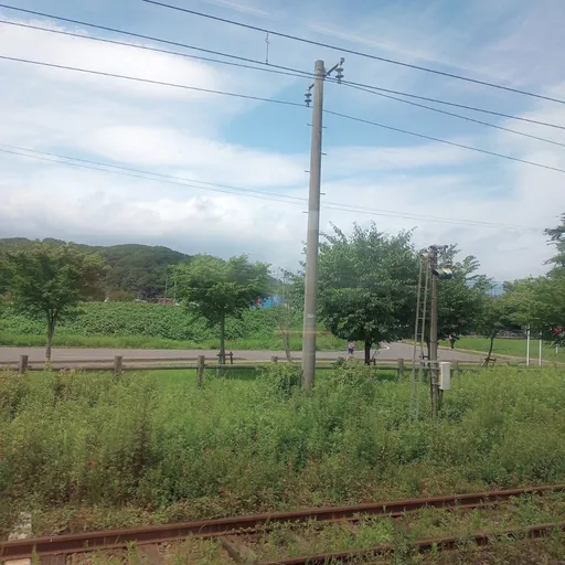 地元の写真。草が生い茂る線路の向こうに山々が広がっている。